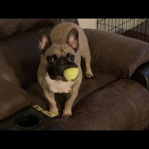 Meet your Posher, Brad